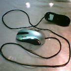 20060619_1502_000.jpg